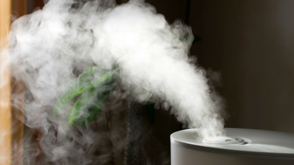 Humidifier Benefits Understand Why You Need One Today