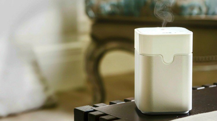 Humidifier vs Vaporizer: Knowing What Suits Your Needs