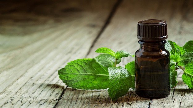 11 Essential Oils For Migraines | Life Beyond Organic