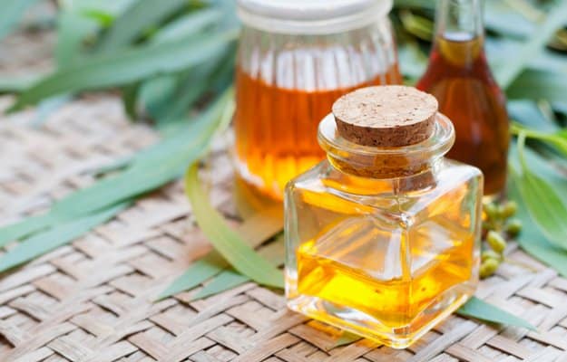 Eucalyptus Oil | Essential Oils for Headaches