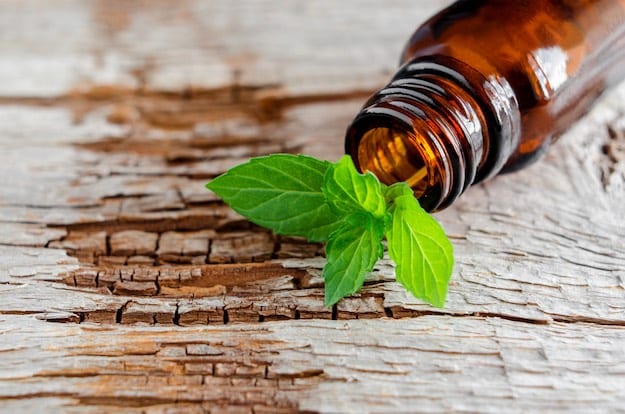 Peppermint Oil | Essential Oils for Psoriasis