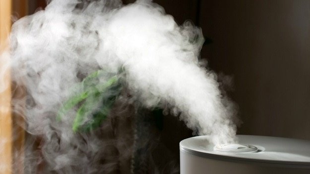 Filterless Design | Vicks Warm Mist Humidifier Consumers Verdict