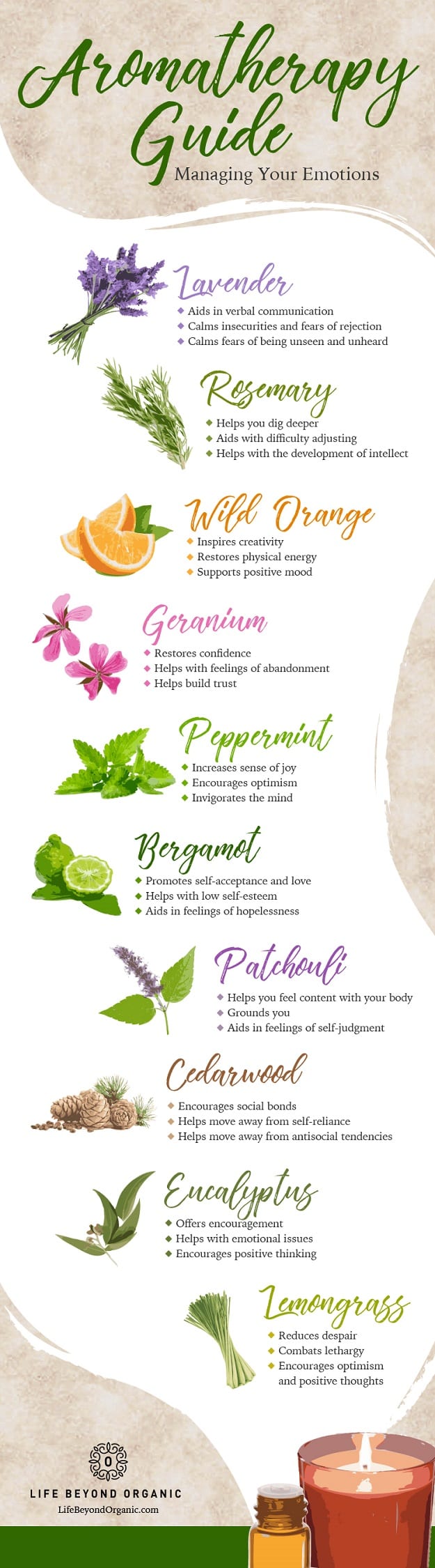 Aromatherapy Guide: Managing Your Emotions