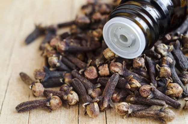 Using Essential Oils to Ease Bug Bites | Best Essential Oils for Gardening