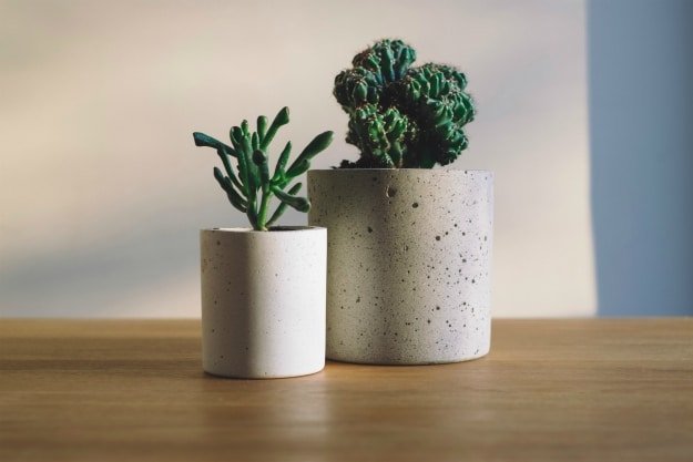 Have A Few Houseplants in Your Home | Humidifier Alternatives to Add Humidity To Your Home