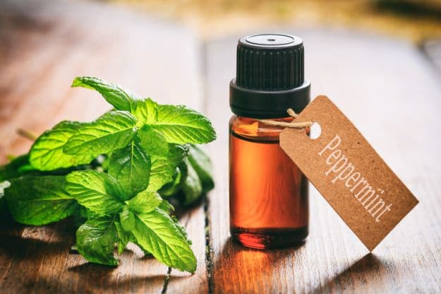 Essential Oils to Take Care of Your Skin | Best Essential Oils for Gardening