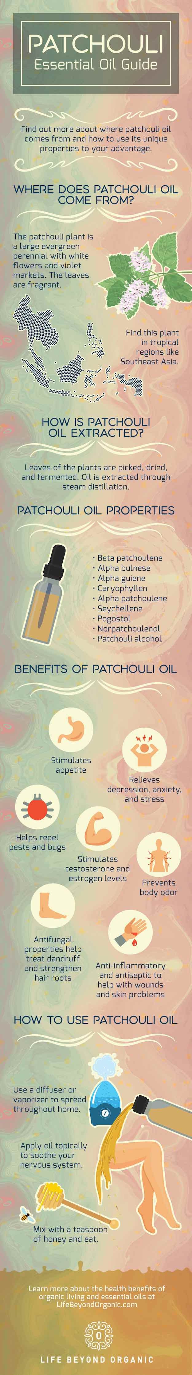 What Is Patchouli Oil? | Life Beyond Organic 1 20170920 Life Beyond Organic Patchouli Essential Oil Guide