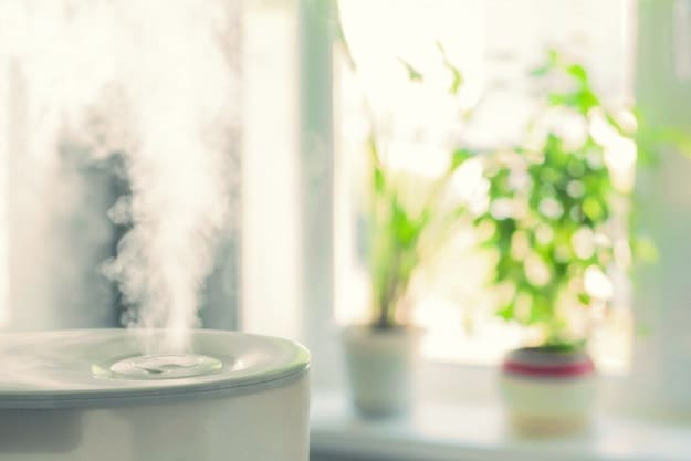 The Type of Room Humidifier You Prefer | Room Humidifier Buying Tips | Life Beyond Organic
