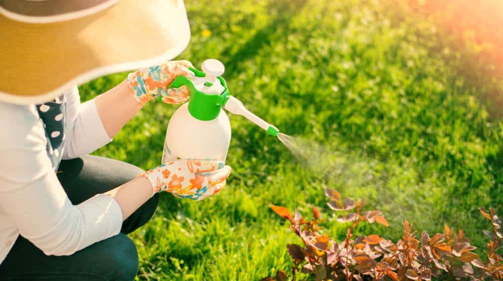 Feature | Organic Pesticides For A Healthy Garden