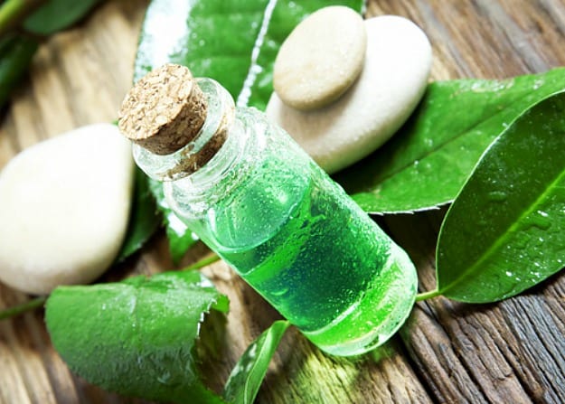 Blend 4: Mint, Sage, And Tea Tree Oils | Simple Do-It-Yourself Bath Salt Essential Oil Recipes