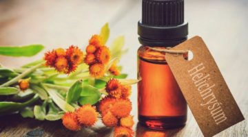 Feature | Helichrysum Oil: What Are The Health Benefits This Amazing Oil Can Offer?