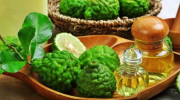 Feature | Bergamot Essential Oil Uses And Benefits