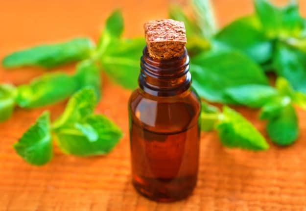 Peppermint | Christmas Essential Oils | Christmas Essential Oils For Some Festive Aromatherapy
