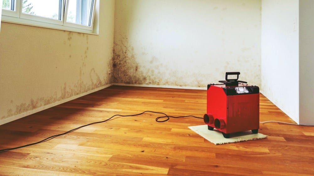 Feature | Best Dehumidifiers For Basement You Must Know