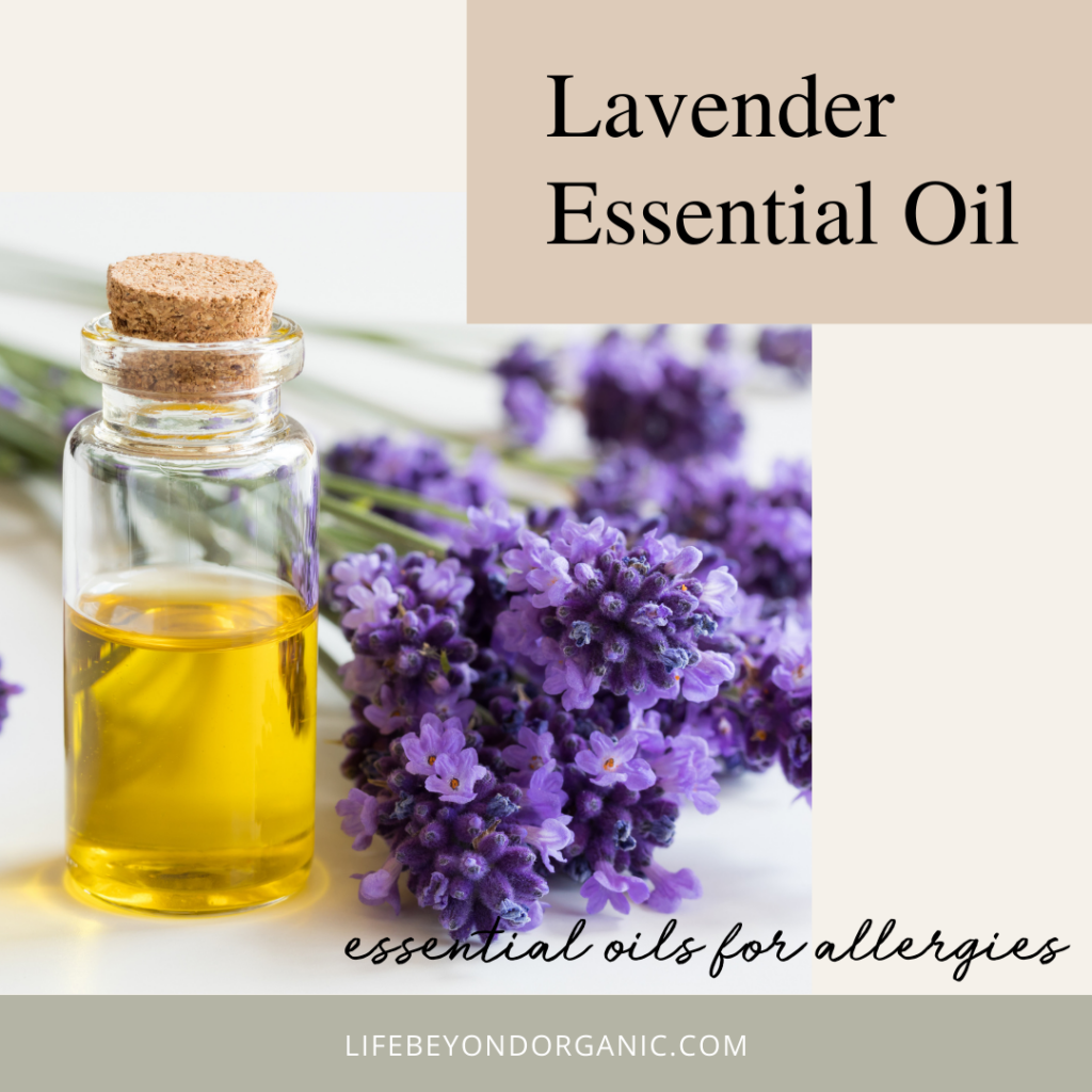 7 Leading Essential Oils For Allergies | Essential Oils