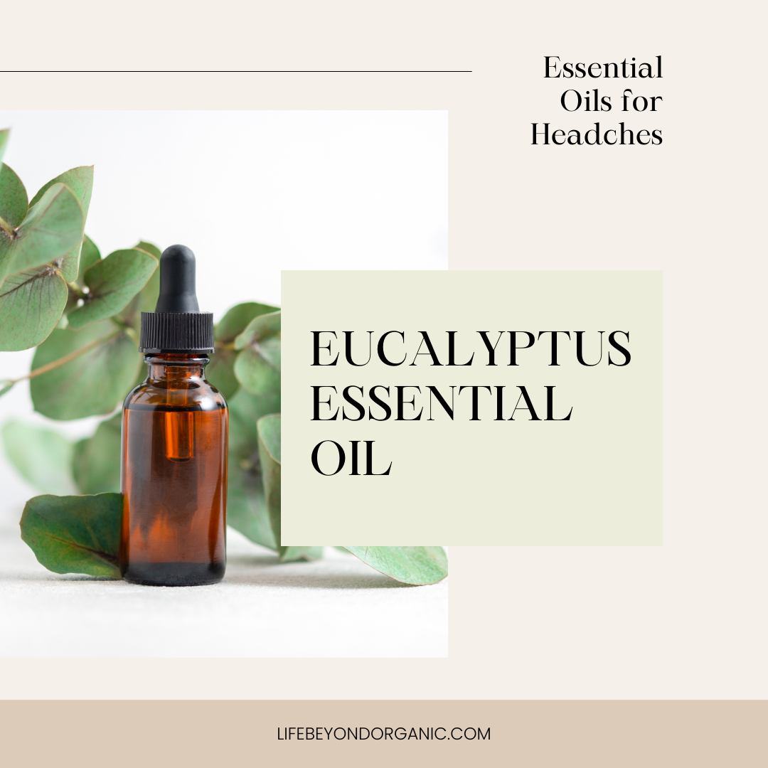 7 Essential Oils for Headaches